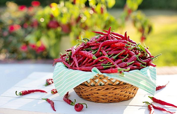 Alimentos-que-ayudan-a-quemar-la-grasa-Capsinoides Los chiles ayudan a quemar la grasa