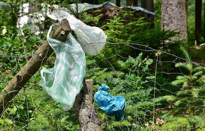 El plogging devuelve los paisajes a su estado original Rehabilitación de entornos mediante el plogging