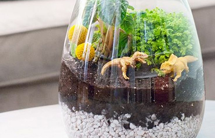 terrarios para niños con dinosaurios terrarios para niños con dinosaurios