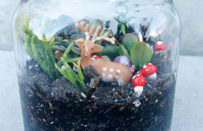 terrarios para niños fácil terrario fácil