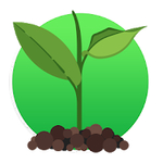 cómo cuidar plantas