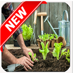 apps para cultivar tu propio huerto