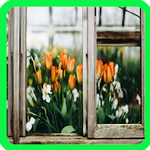 apps para cultivar tu propio huerto