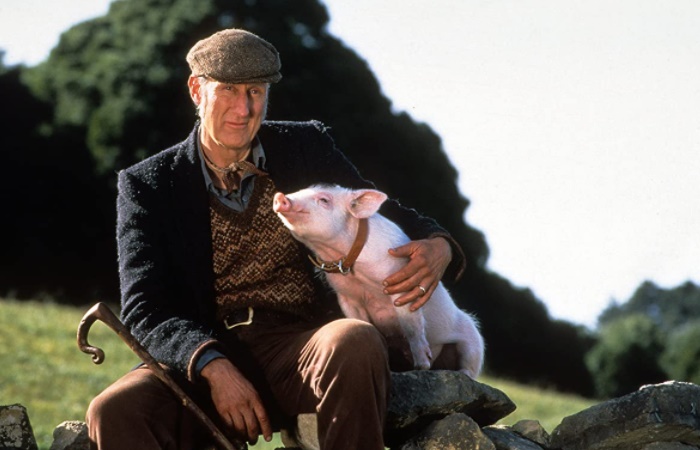 Fotograma de Babe, el cerdito valiente Películas con animales: Babe, el cerdito valiente