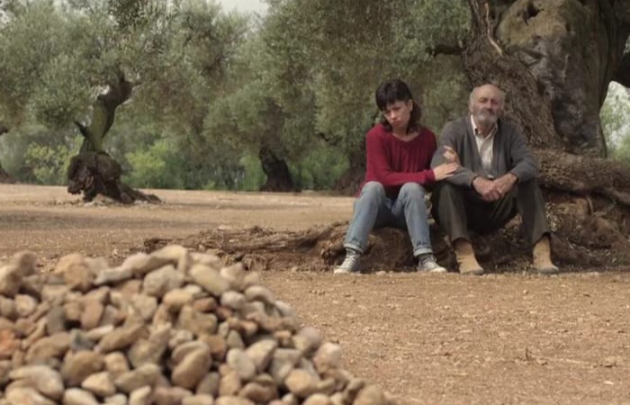 El Olivo películas sobre los abuelos