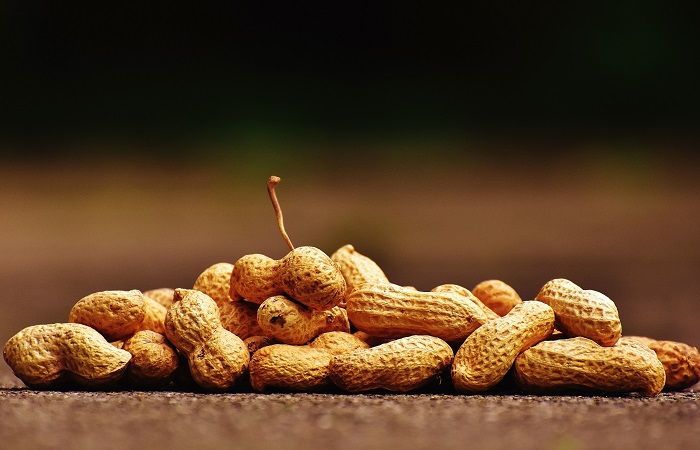 Cacahuetes y alergia a los frutos secos Alergia a los frutos secos y a los cacahuetes