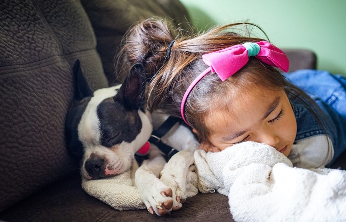 alérgicos a la mascota y problemas de sueño Niña durmiendo con su perro. Alérgico a la mascota: tratamiento