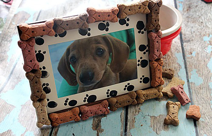 Marco para la foto del perro. Portarretratos perruno. Regalos para amantes de los perros