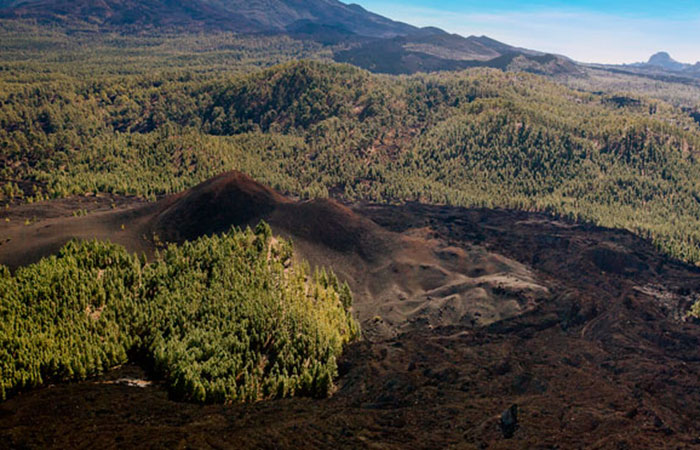 Reserva Natural Especial del Chinyero en Tenerife