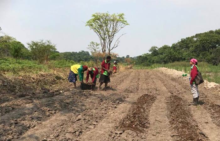 Taller de Solidaridad propone unas olimpiadas por el cuidado de la Tierra Taller de Solidaridad propone unas olimpiadas por el cuidado de la Tierra