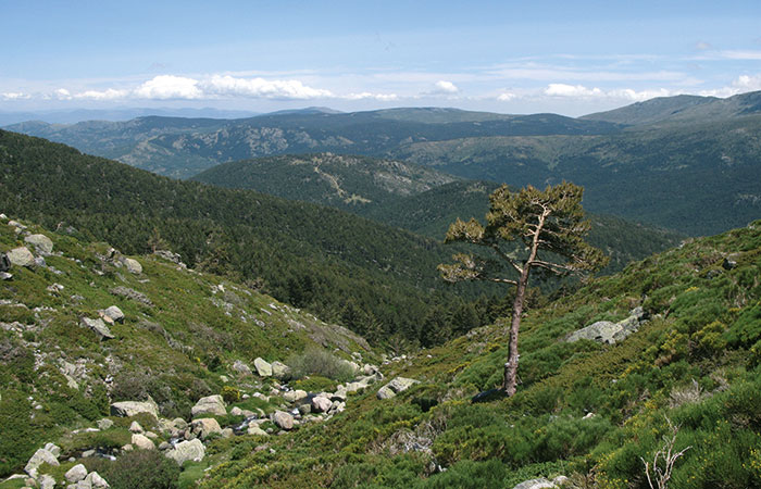 Parque Natural de Peñalara en Madrid
