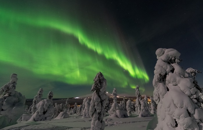 Pinos nevados bajo una aurora boreal Aurora boreal. Curiosidades de Finlandia