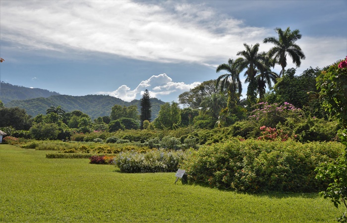 Hope botanical gardens Hope Gardens, Jamaica