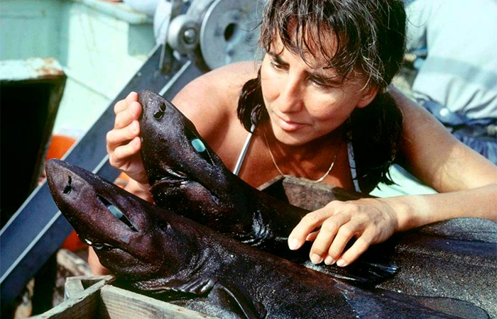 Eugenie Clark, la dama de lo tiburones Eugenie Clark