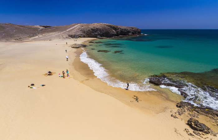 lanzarote papagayo