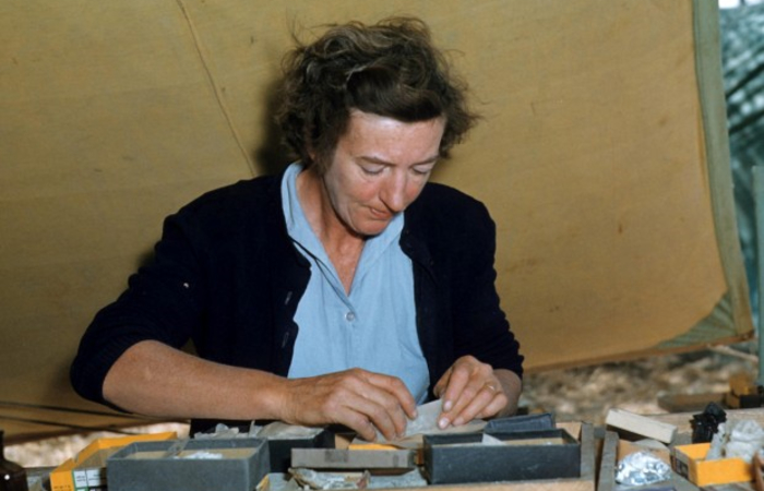 mary leakey Mary Leakey, clasificando muestras