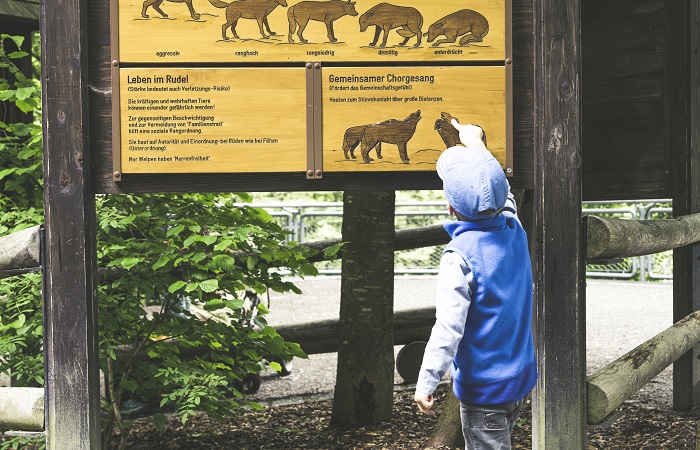La importancia de fomentar la curiosidad de los niños