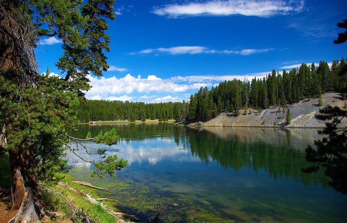 Parque Nacional de Yellowstone Parque Nacional de Yellowstone