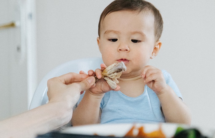 Rechazo a la comida durante las primeras etapas Niños delicados con la comida en sus primeros años
