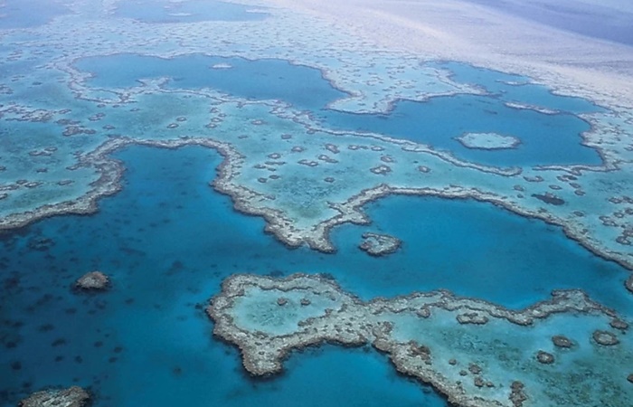 Gran Barrera de Coral australiana Gran Barrera de Coral australiana