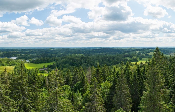 Vistas desde la colina Suur Munamagi Curiosidades de Estonia, paisaje en Suur Munamagi