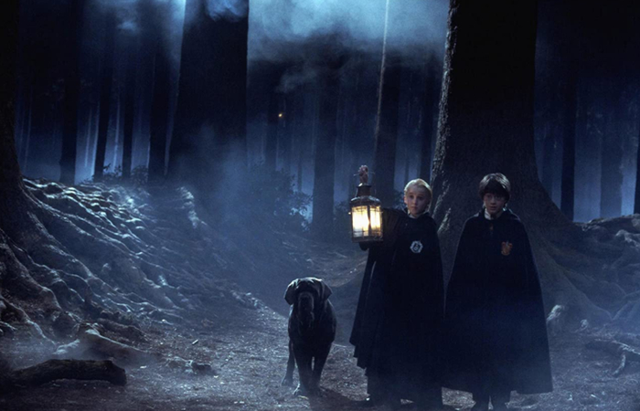 fotograma de la primera película de la serie de Harry Potter Harry Potter y la piedra filosofal