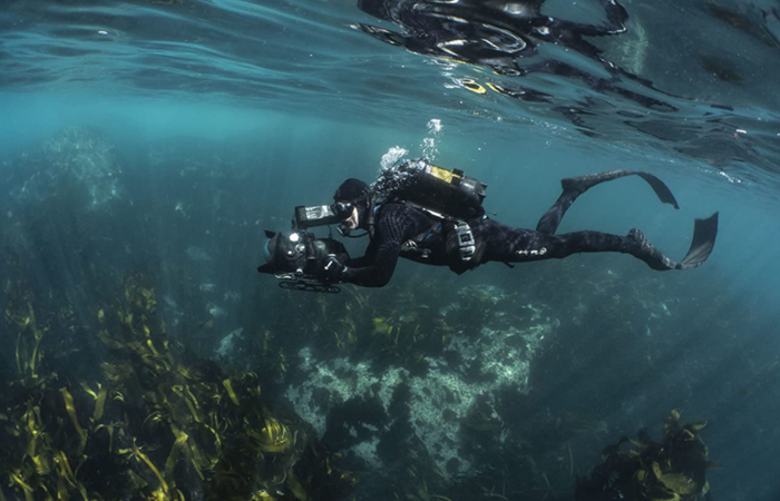 fotograma película lo que el pulpo me enseñó aprender geografía: lo que el pulpo me enseñó