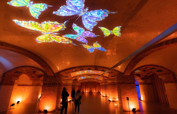 Els Llums de Sant Pau: L’Univers de la Llum. Christmas Garden en Barcelona
