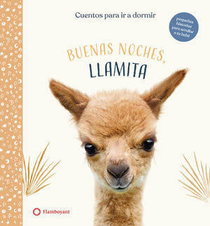 regalar libros en navidad: buenas noches llamita