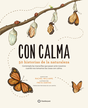 regalar libros en navidad: con calma
