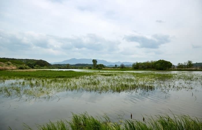 Ungok Wetland and Dolmen Site, único sitio de Corea del Sur incluido en la lista de Green Destinations Ungok Wetland and Dolmen Site, Corea del Sur