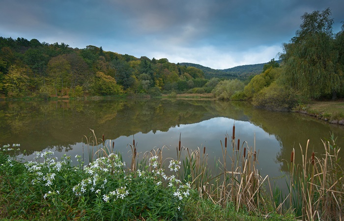 El Parque Natural Vanatori Neamt, entre los 100 destinos más sostenibles del mundo Destinos más sostenibles en 2021: Parque Natural Vanatori Neamt, Rumanía