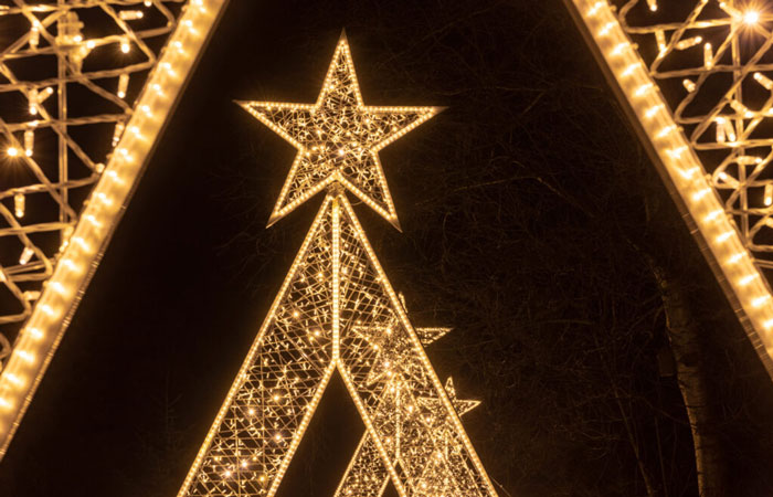Les llums de Vivers. Christmas Garden en Valencia