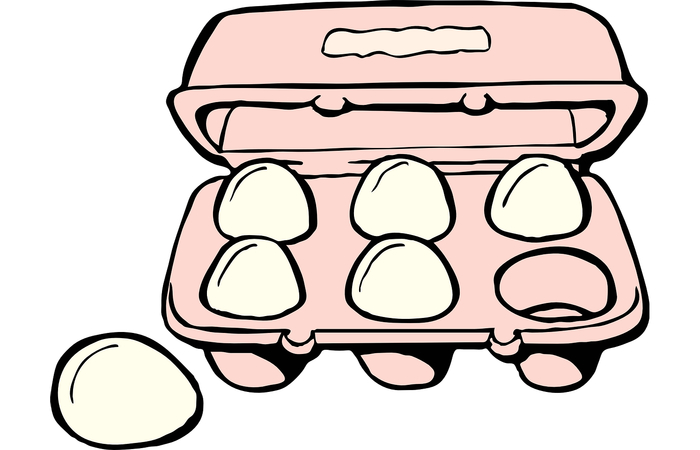 ilustración de cartón de huevos huevos