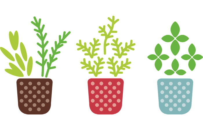 ilustración de plantas en macetas adivinanzas difíciles para niños: planta