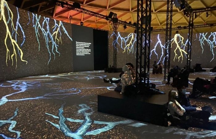 El mundo de Van Gogh. Exposición inmersiva