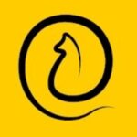 apps de perros: 11pets