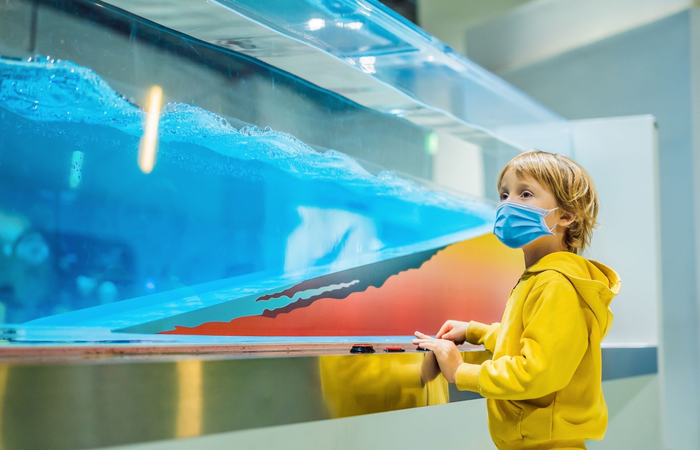 niño en clase de ciencias vídeos de ciencia: experimento