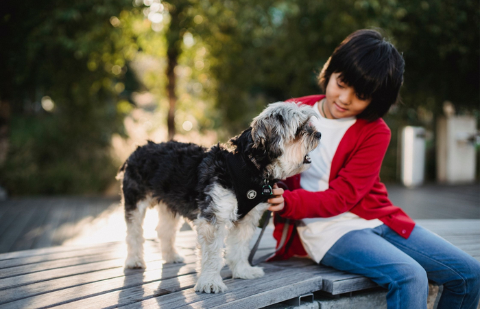apps de perros