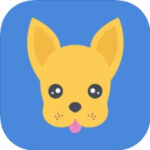 cogui, app