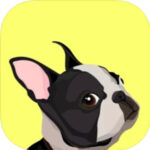 everydoggy aplicación para perros