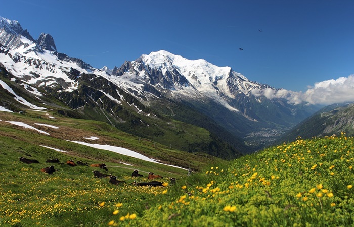 Entorno natural del pico Mont Blanc Las rutas de senderismo más espectaculares de Europa: Mont Blanc