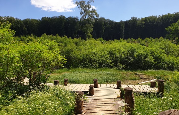El Mullerthal Trail es el trayecto de senderismo más famoso de Luxemburgo Las rutas de senderismo más espectaculares de Europa: Mullerthal Trail, Luxemburgo
