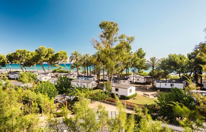 Camping Palmeras Camping Las Palmeras