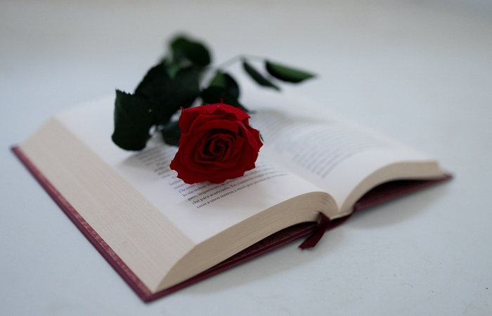 libro y rosa por qué se celebra el día del libro: una rosa y un libro