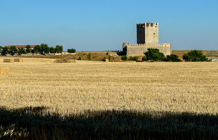 Tiedra en Valladolid