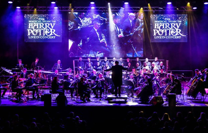 The magical music of Harry Potter. Live in concert with the Weasleys!