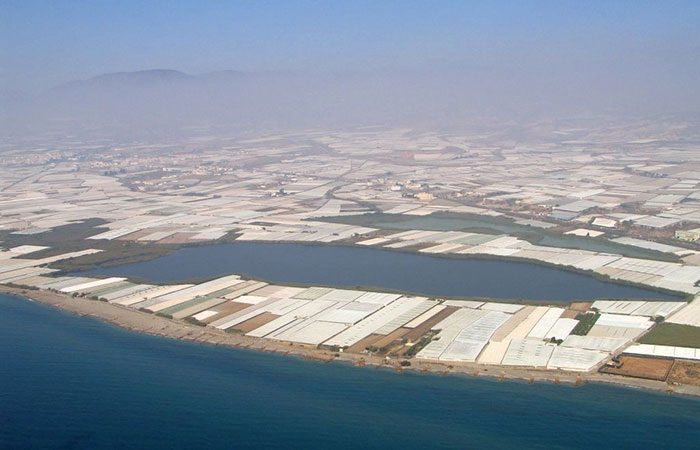 Reserva Natural Albufera de Adra en Almería