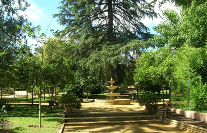 zoobotánico de jerez parques de ocio andalucía: zoobotánico