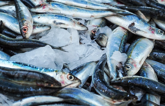Grasas omega-3 y omega-6 Ácidos grasos del pescado azul